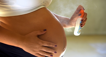 Combate à dengue: aumento dos casos exige cuidados rigorosos pelas gestantes